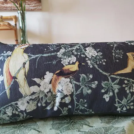 Kır Evi Rana Cantante *