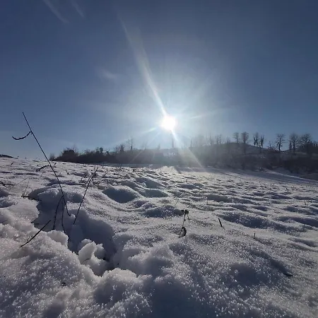 Rana Cantante * Mombercelli