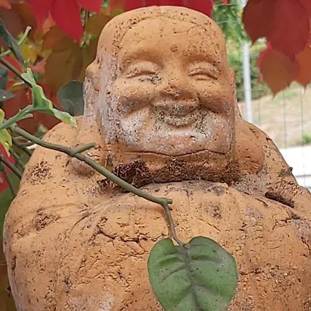 Kır Evi Rana Cantante *