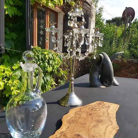 Rana Cantante Mombercelli