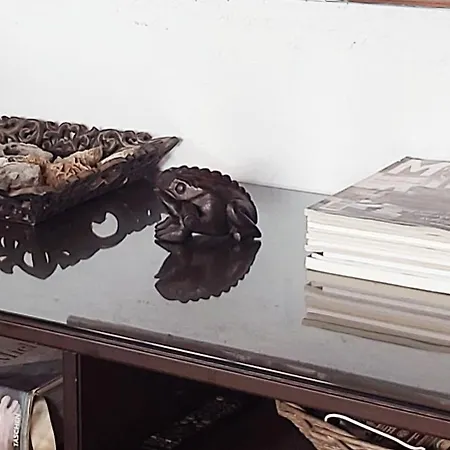 Kır Evi Rana Cantante