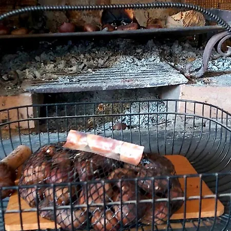 Rana Cantante Kır Evi *