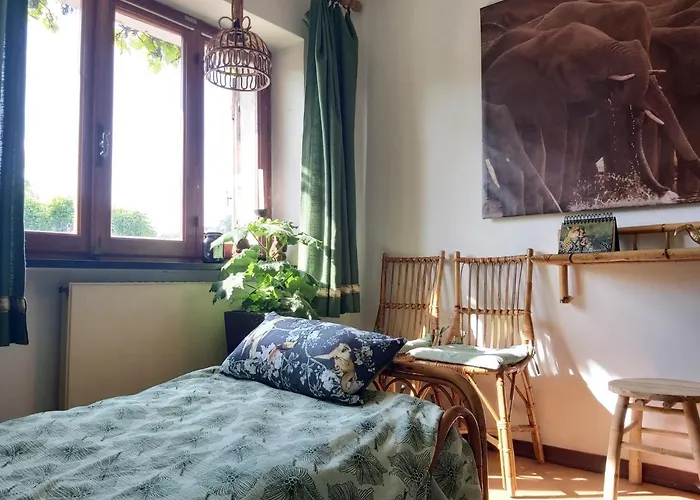 Rana Cantante * Mombercelli