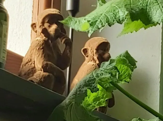 Country house Rana Cantante Mombercelli