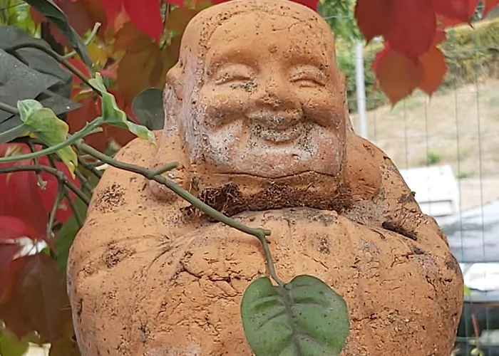 Country house Rana Cantante *