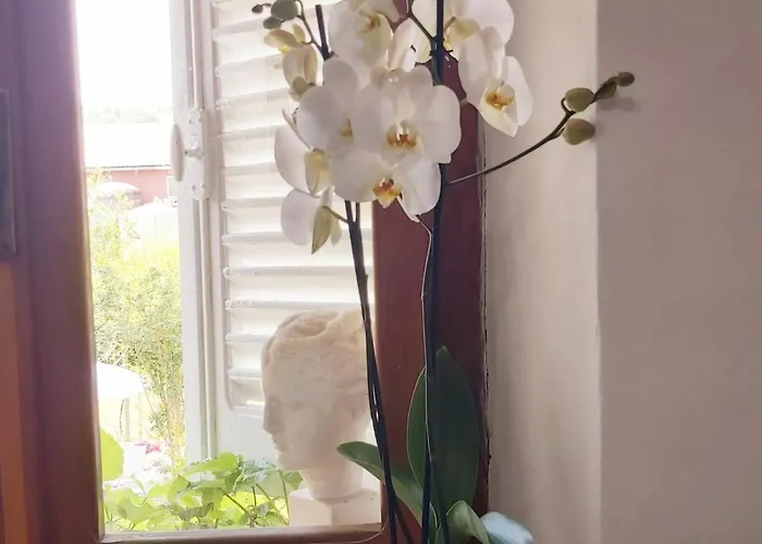 Rana Cantante Country house Mombercelli