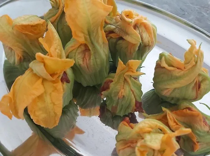 Rana Cantante Country house *